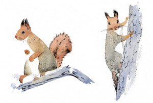 varpu määttänen feministi puussa sarjakuvablogi oravat kuvitus sarjakuva